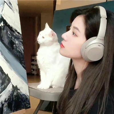 异星入侵:凤凰出山