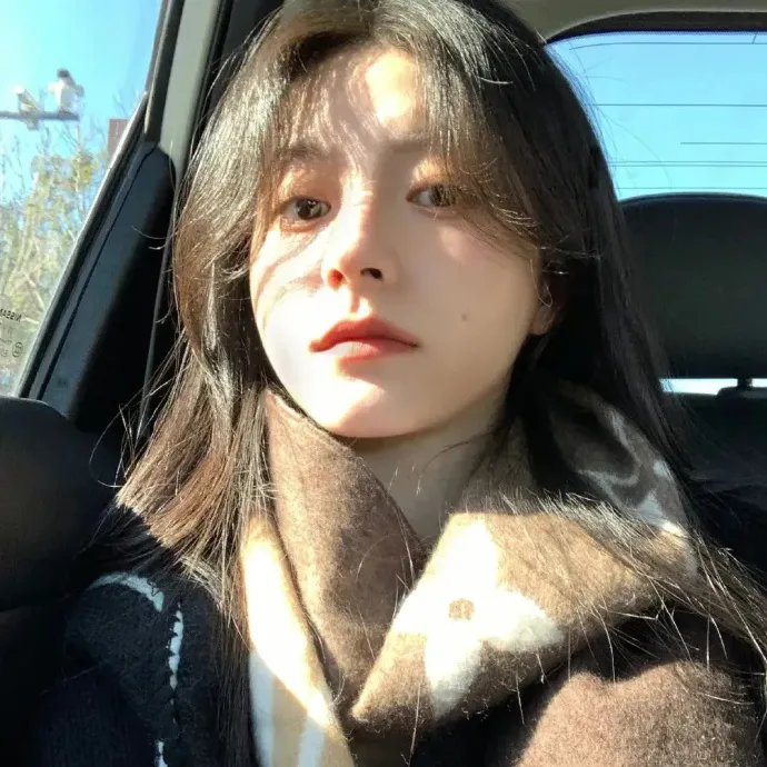 鸳鸯袖里握兵符